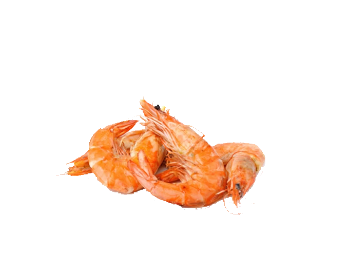 Pescados y mariscos